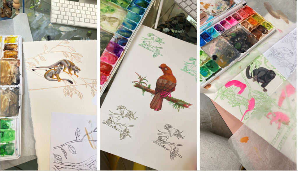 fotos libro y proceso creativo vida y costumbres en la amazonía