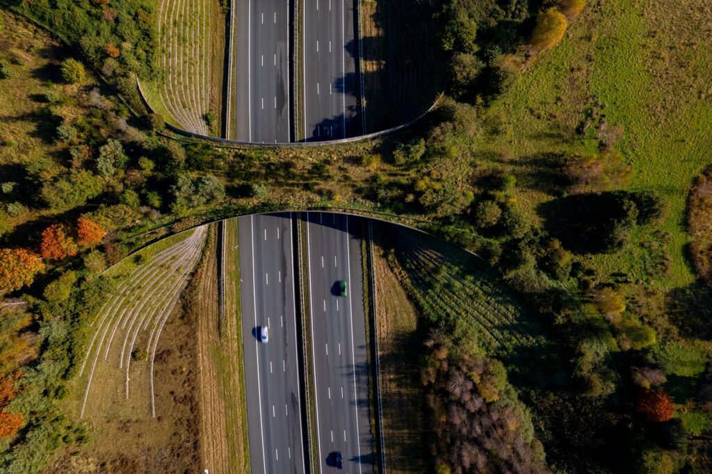 Fotografía referencial de un paso de naturaleza.
