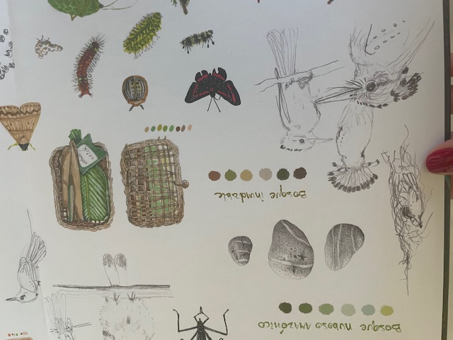 foto libro vida y costumbre amazonas