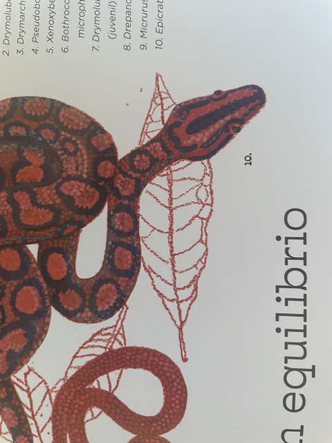 foto libro vida y costumbre amazonas