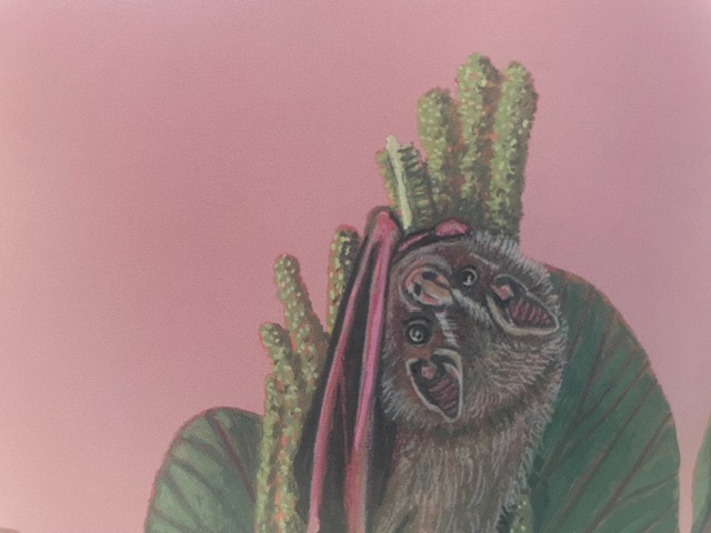 foto libro vida y costumbre amazonas