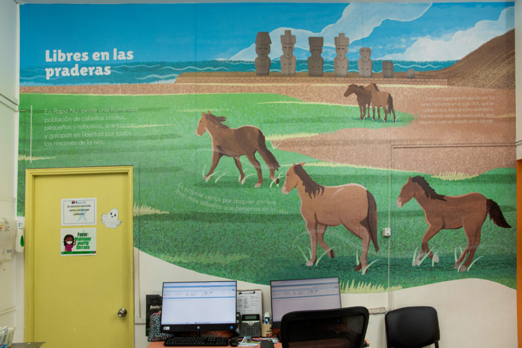 fotos murales, cortesía de Escena Silvestre