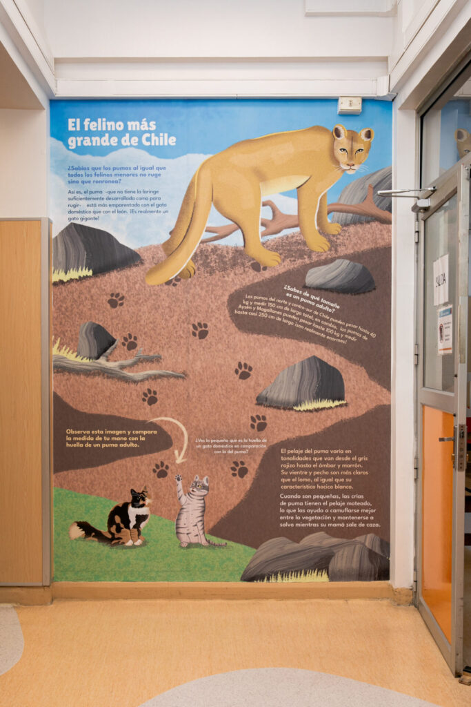 fotos murales, cortesía de Escena Silvestre