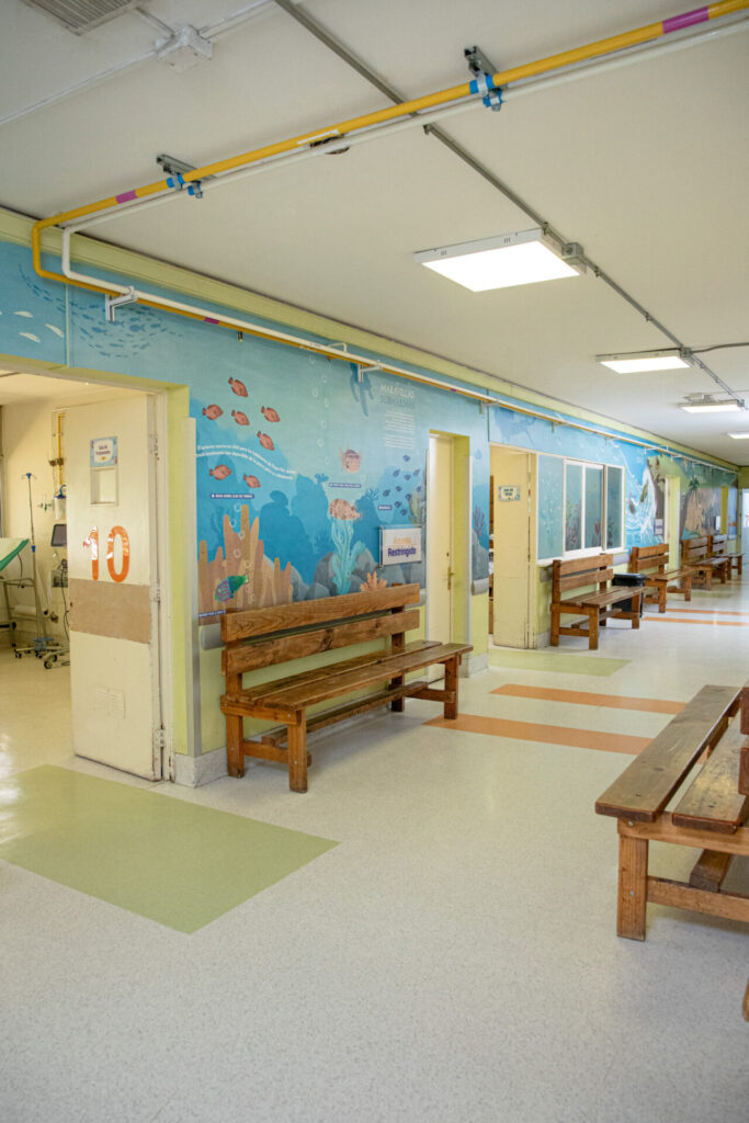 fotos murales, cortesía de Escena Silvestre