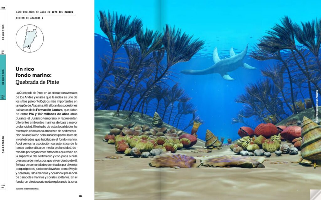 Hábitat submarinos en Chile