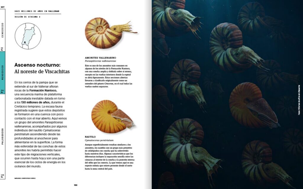 Fondo submarino de la región