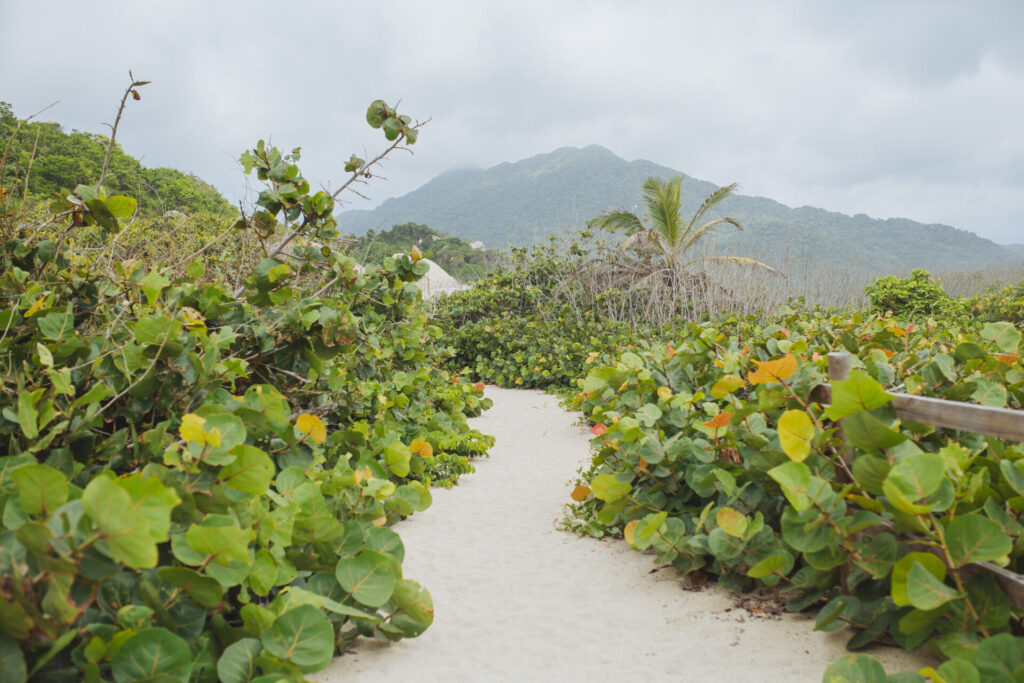 Parque Nacional Natural Tayrona, Colombia. Créditos: ©Amelia Ortúzar