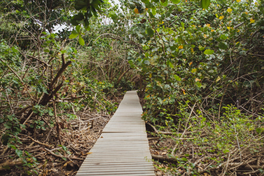 Parque Nacional Natural Tayrona, Colombia. Créditos: ©Amelia Ortúzar
