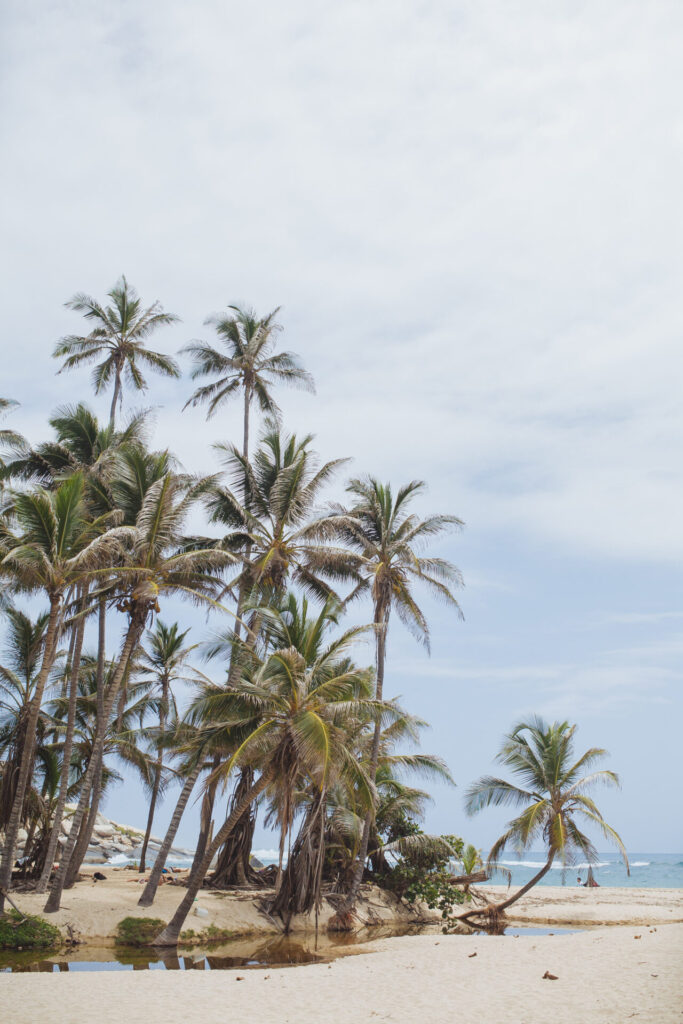Parque Nacional Natural Tayrona, Colombia. Créditos: ©Amelia Ortúzar