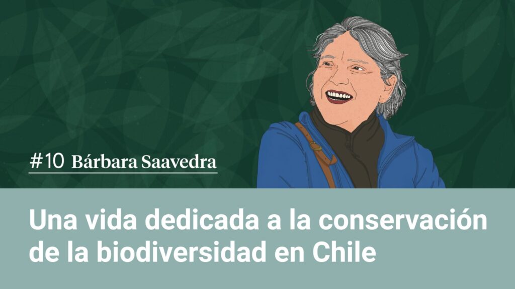 Bárbara Saavedra, Inspirados por la Naturaleza 7.