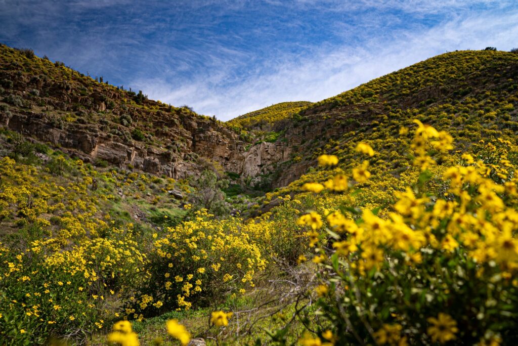 Parque La Giganta. Créditos: Más Verde. Cedida por Fundación Tierra Austral.