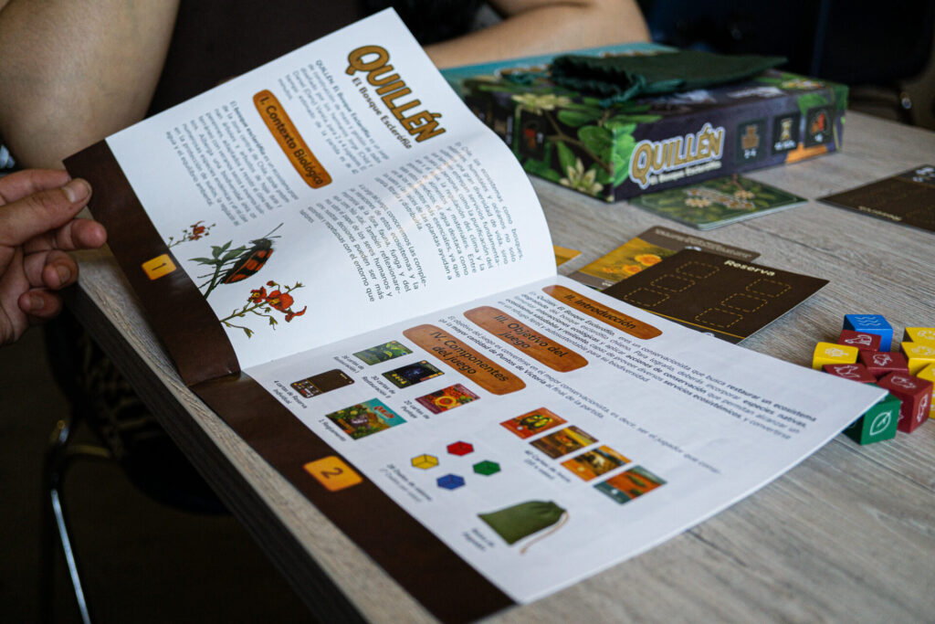 Manual del juego Quillén.