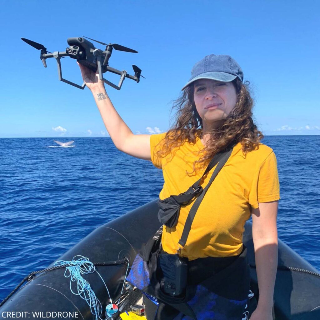 Uso de drones para registrar fauna marina