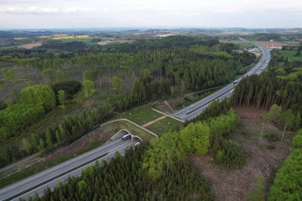 Fotografía referencial de un paso de fauna.