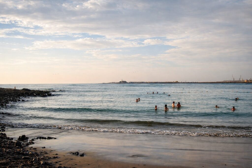 Playa El Laucho. Créditos (CC BY): Alexson Scheppa Peisino (Wikimedia).