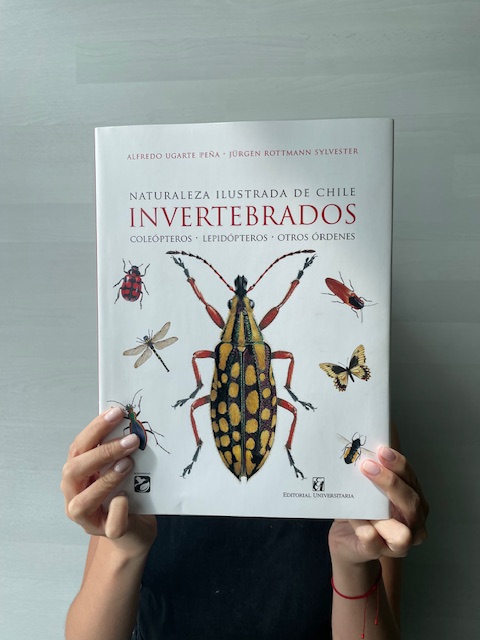 «Naturaleza ilustrada de Chile. Invertebrados», el nuevo libro que nos acerca a los insectos