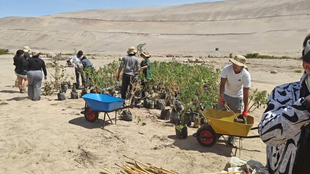 Voluntarios trabajando en la jornada