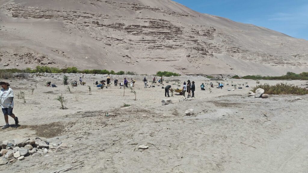 Voluntarios en la jornada, foto de ROC