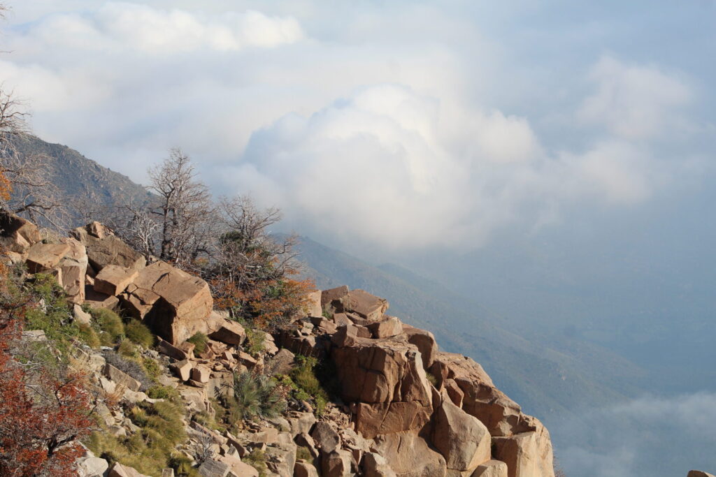 Reserva Natural Altos de Cantillana