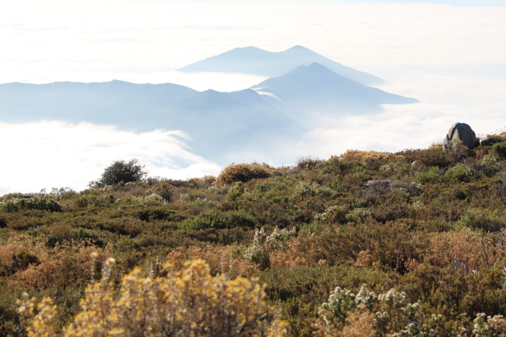Reserva natural Altos de Cantillana