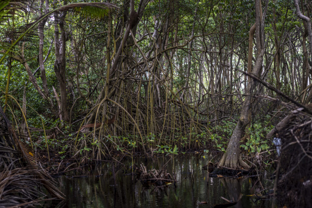Reserva de Biosfera de Seaflower en Colombia. Créditos: fotografo Federico Rios.