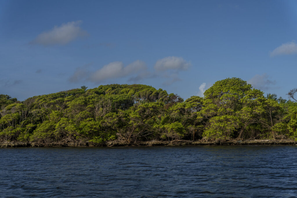 Reserva de Biosfera de Seaflower en Colombia. Créditos: fotografo Federico Rios.
