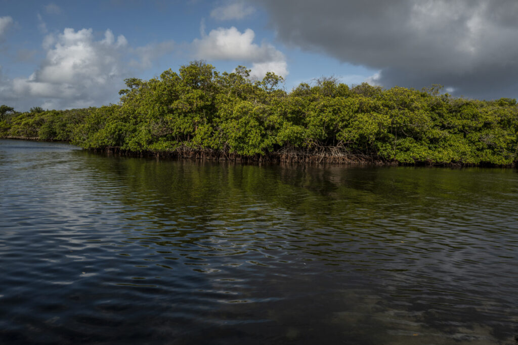 Reserva de Biosfera de Seaflower en Colombia. Créditos: fotografo Federico Rios.