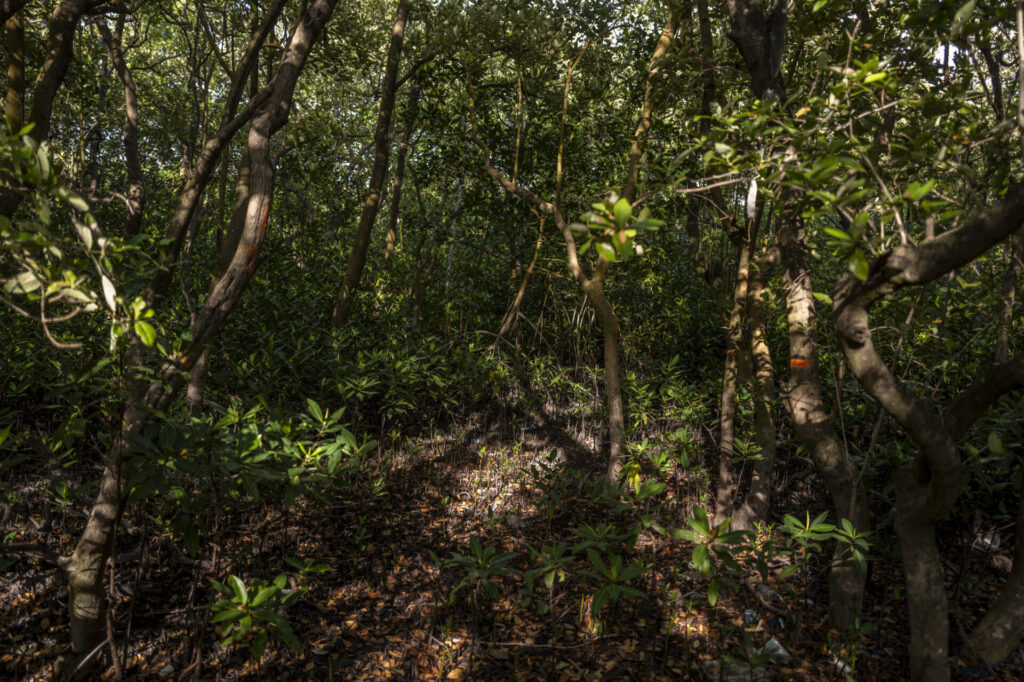 Reserva de Biosfera de Seaflower en Colombia. Créditos: fotografo Federico Rios.