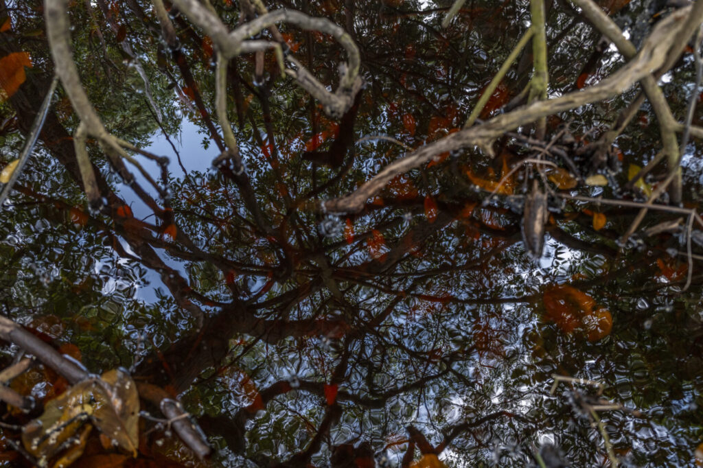 Reserva de Biosfera de Seaflower en Colombia. Créditos: fotografo Federico Rios.