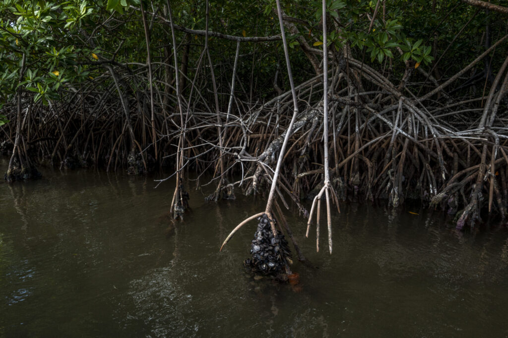 Reserva de Biosfera de Seaflower en Colombia. Créditos: fotografo Federico Rios.