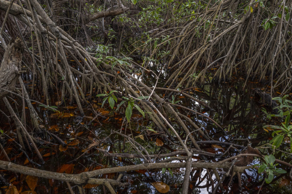 Reserva de Biosfera de Seaflower en Colombia. Créditos: fotografo Federico Rios.
