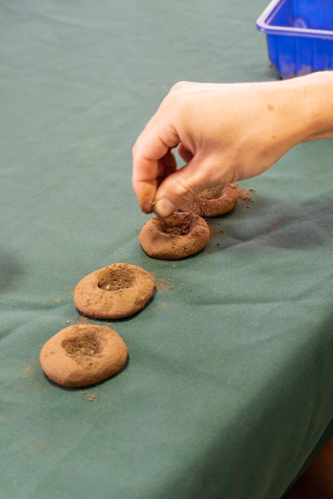 Taller de bombas de semillas junto a comunidad de Puente Alto. Créditos: SíMiPlaneta.