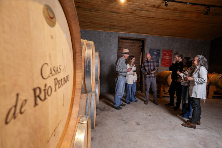 Tren “Sabores” del Cachapoal. Créditos: ©EFE