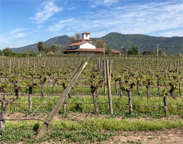 Tren “Sabores” del Maule. Créditos: ©EFE