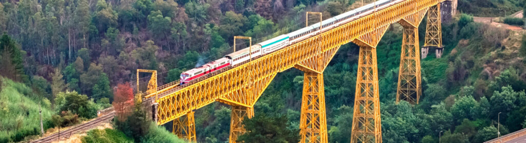 Tren Santiago-Temuco. Créditos: ©EFE