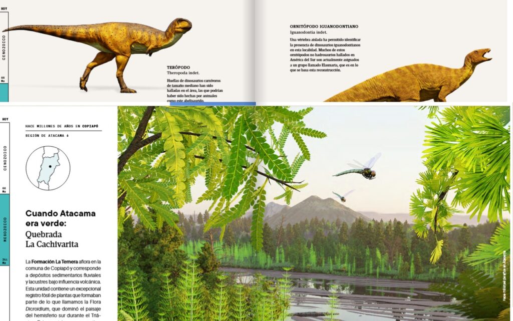 Vegetación en Atacama