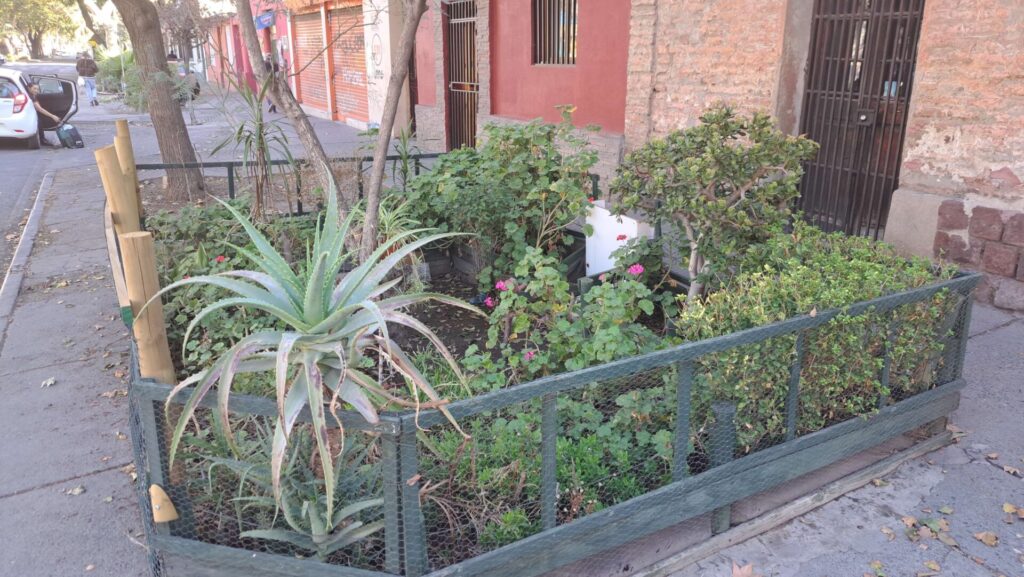 Vegetación en las poblaciones.