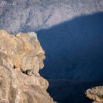 Vizcacha. Foto: Eduardo Muñoz.