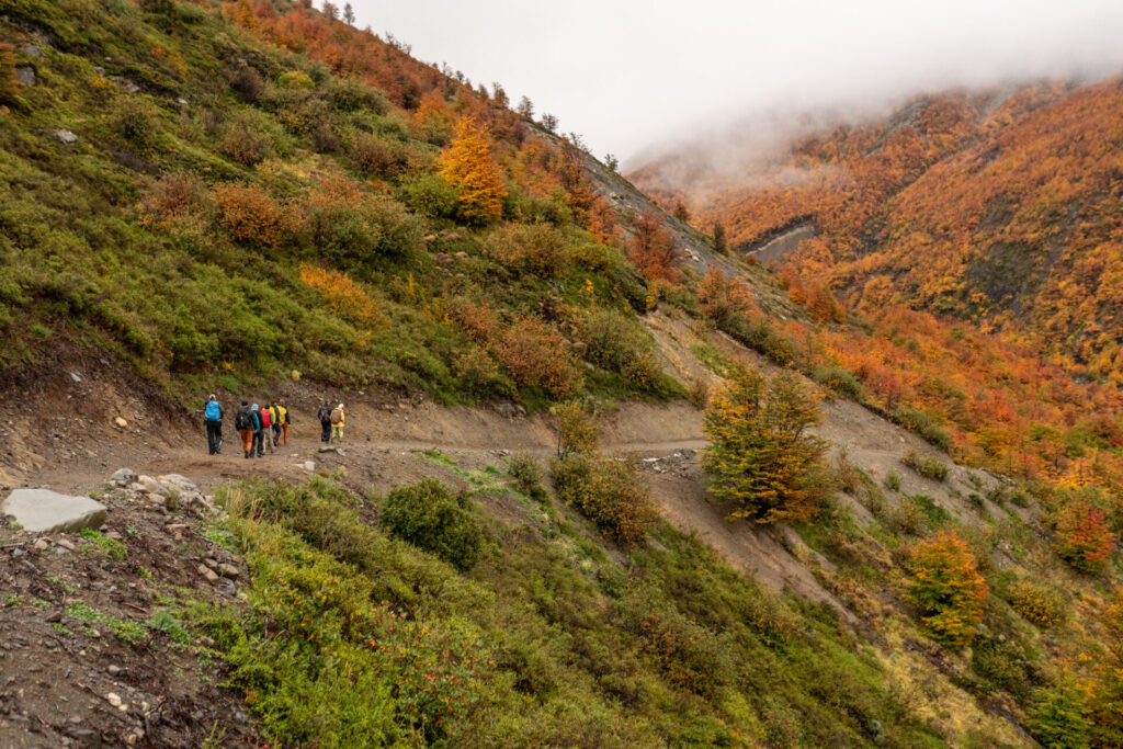 Voluntariado en Torres del Paine. Fotografía cortesía de Las Torres Patagonia.