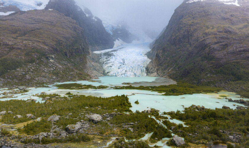 Entre bosques y paisajes inhóspitos: Un recorrido por las 14 reservas nacionales de la zona sur austral de Chile