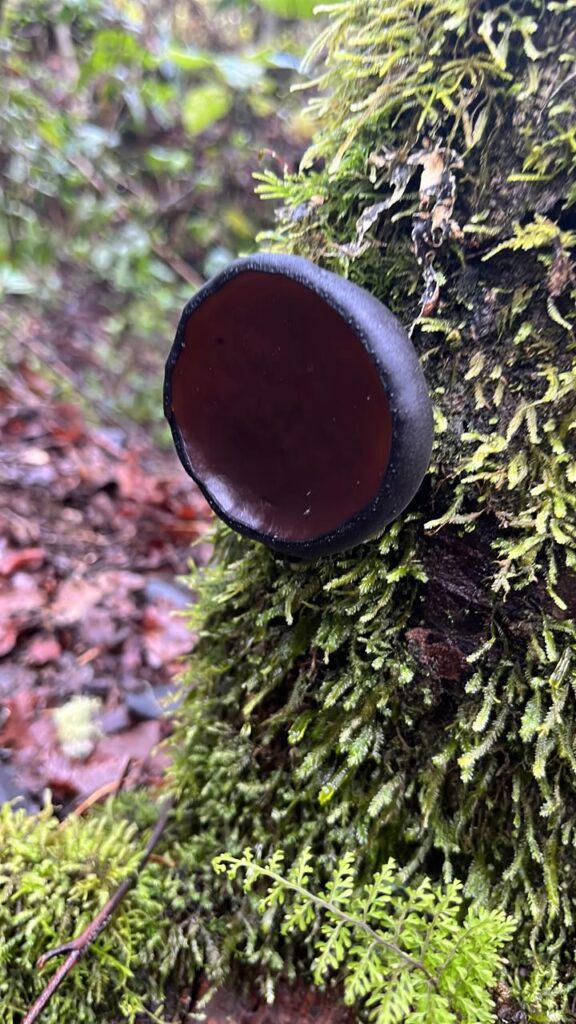 Santuario Todas las Aguas