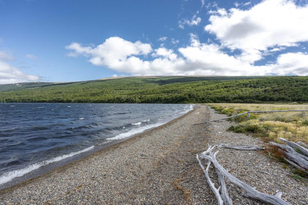Reserva Nacional Lago Carlota. Créditos: Benjamín Valenzuela
