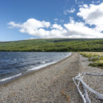Reserva Nacional Lago Carlota. Créditos: Benjamín Valenzuela