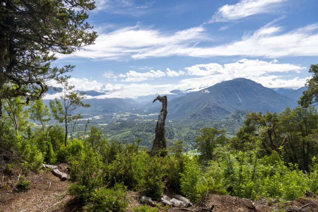 Reserva Nacional Lago Rosselot. Créditos: Benjamín Valenzuela