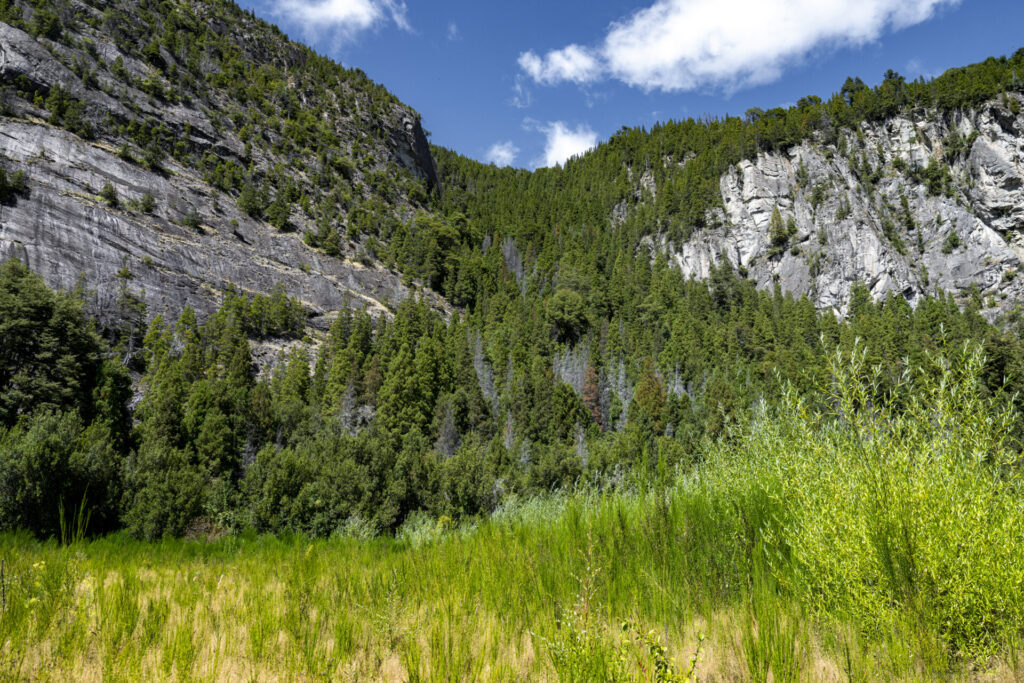 Reserva Nacional Lago Futaleufú. Benjamín Valenzuela