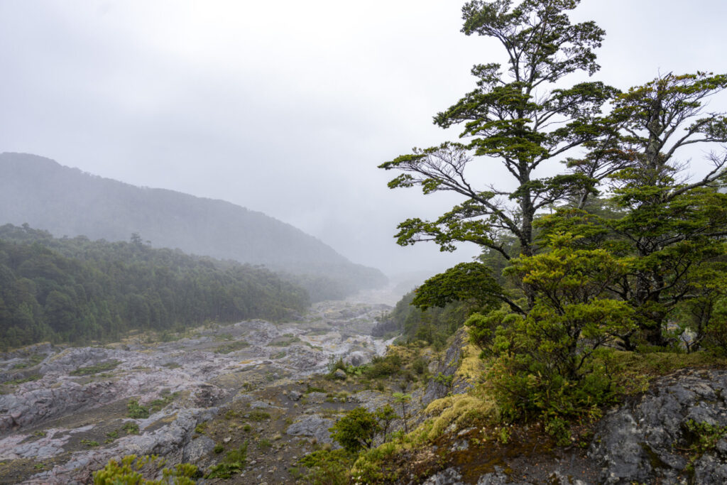 Reserva Nacional Lago Llanquihue. Benjamín Valenzuela