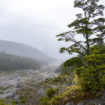 Reserva Nacional Lago Llanquihue. Benjamín Valenzuela