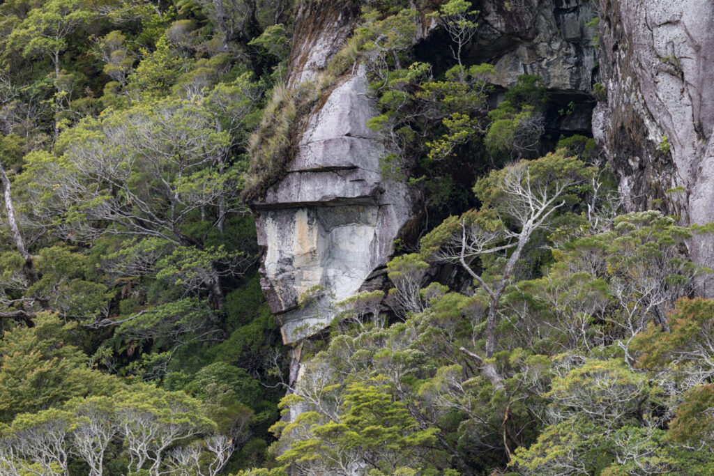 Reserva Nacional Katalalixar. Créditos: Benjamín Valenzuela