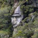 Reserva Nacional Katalalixar. Créditos: Benjamín Valenzuela