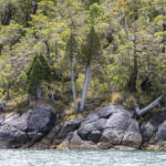 Reserva Nacional Katalalixar. Créditos: Benjamín Valenzuela